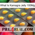 What Is Kamagra Jelly 100Mg cialis2